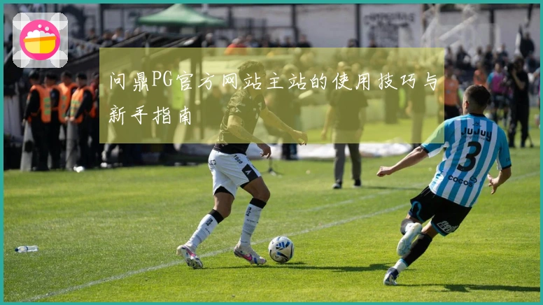 问鼎PG官方网站主站的使用技巧与新手指南