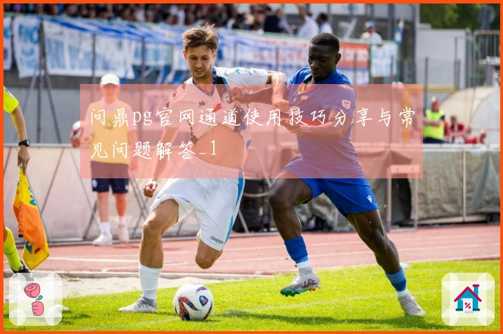问鼎pg官网通道使用技巧分享与常见问题解答_1