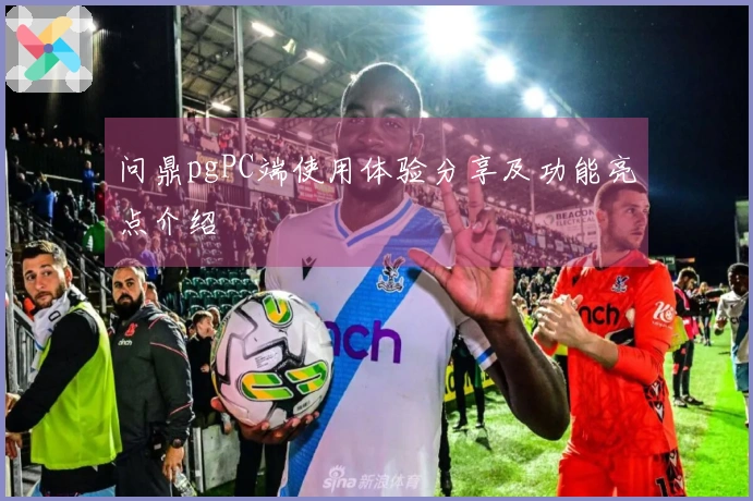 问鼎pgPC端使用体验分享及功能亮点介绍