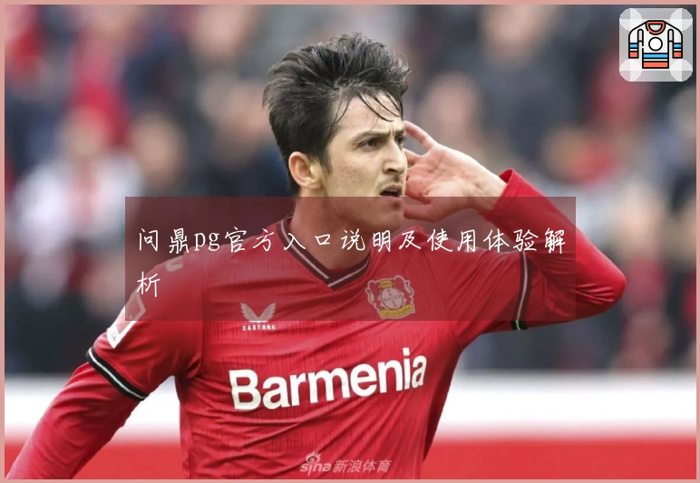问鼎pg官方入口说明及使用体验解析