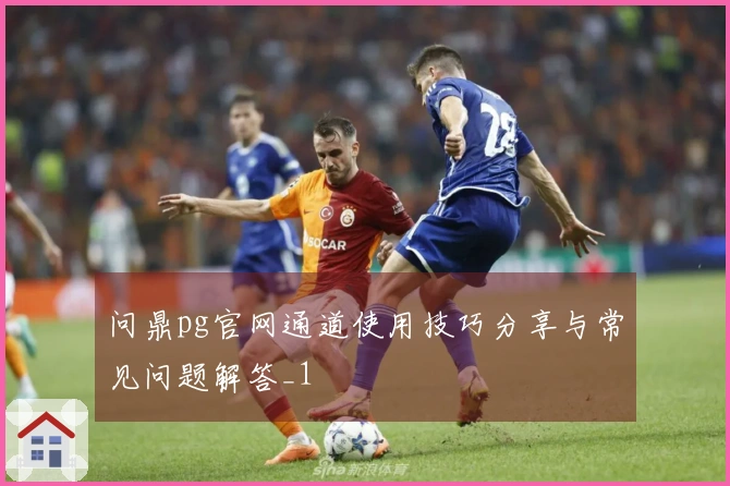 问鼎pg官网通道使用技巧分享与常见问题解答_1