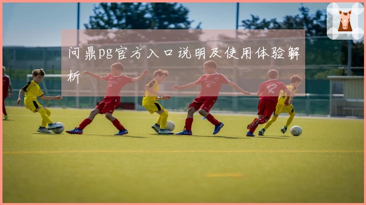 问鼎pg官方入口说明及使用体验解析