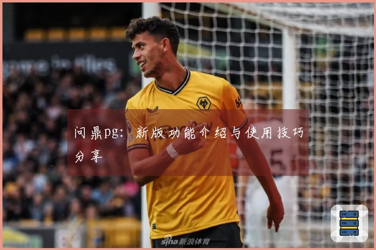 问鼎pg：新版功能介绍与使用技巧分享