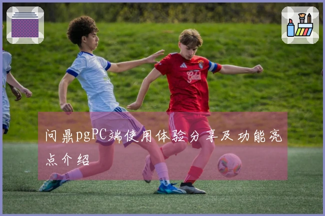 问鼎pgPC端使用体验分享及功能亮点介绍